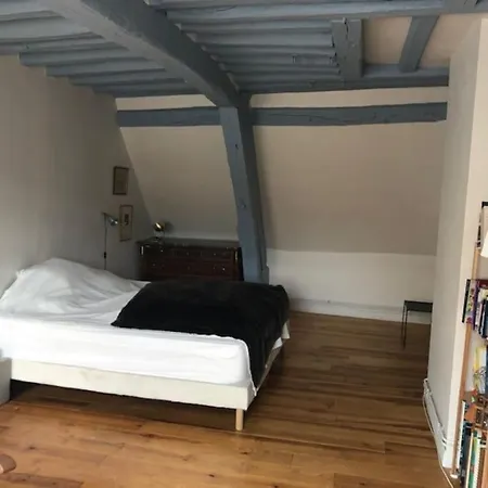 Grande Maison De Caractere Centre De Casa vacanze *