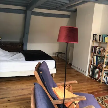 Grande Maison De Caractere Centre De Holiday home
